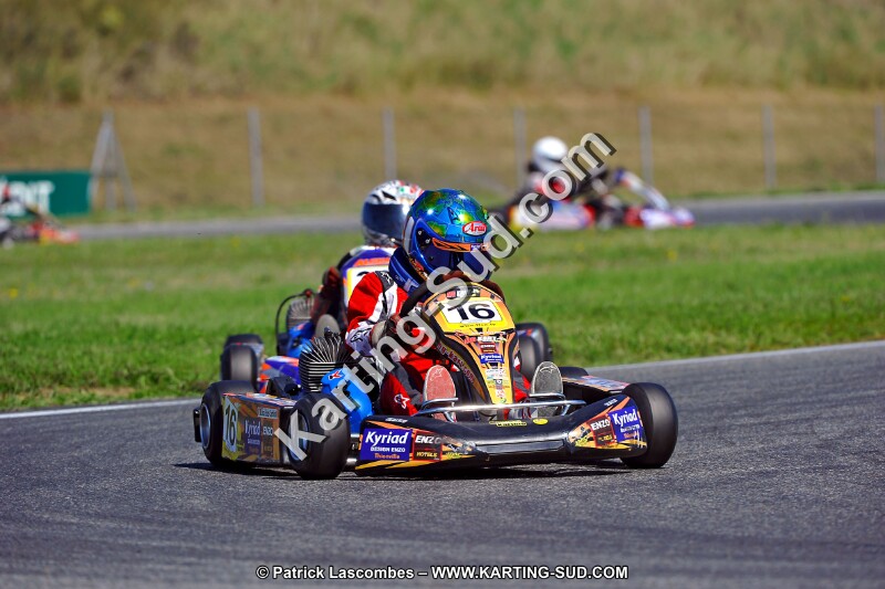DSC_ (1331).jpg